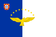 blue-white, yellow goshawk, arc of 9 yellow stars, coat of arms