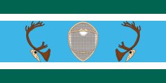 green-white-blue-white-green stripes with a thick middle stripe containing a snowshoe and antlers