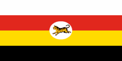 white-yellow-red-black, white oval, tiger
