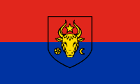 2010 Moldova flag proposal: red-blue stripes with the central panel of the Moldovan coat of arms