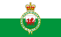 white-green, red dragon badge, crown