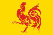 yellow, red rooster
